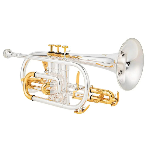 Bb Trigger Cornet CR-8358 | Yellow Brass Professional Cornet | JP Music Store - musical instrument for students and music education