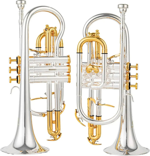 Bb Trigger Cornet CR-8358 | Yellow Brass Professional Cornet | JP Music Store - musical instrument for students and music education