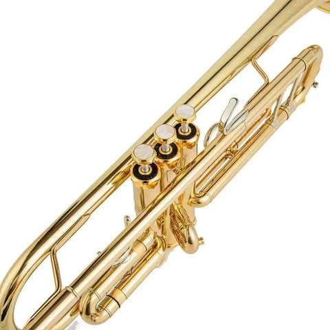 Bb Student Trumpet LT18043 Yellow Brass with Case - Beginner-Friendly Instrument - high quality trumpet for student and professional musicians