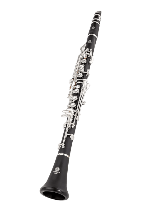 Beginner Bb Clarinet 17 Keys - ABS Material with Ideal Tones for Student Musicians - professional clarinet for music students and performers