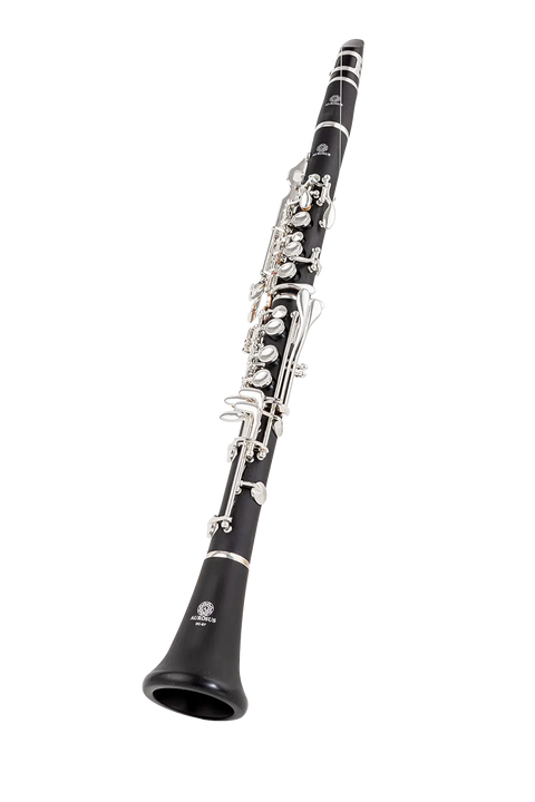 Beginner Bb Clarinet 17 Keys - ABS Material with Ideal Tones for Student Musicians Aurosus