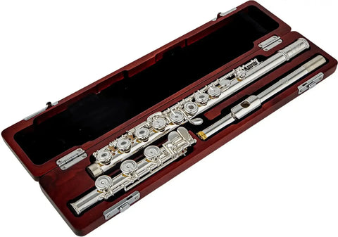 Solid Silver Concert Flute with Open/Closed Hole Design and Case - Aurosus InstrumentSolid Silver Concert Flute with Open/Closed Hole Design and Case