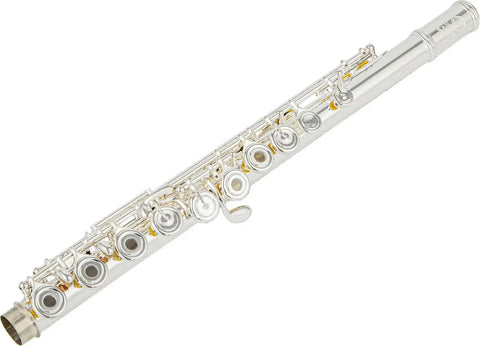 Solid Silver Concert Flute with Open/Closed Hole Design and Case - Aurosus InstrumentSolid Silver Concert Flute with Open/Closed Hole Design and Case