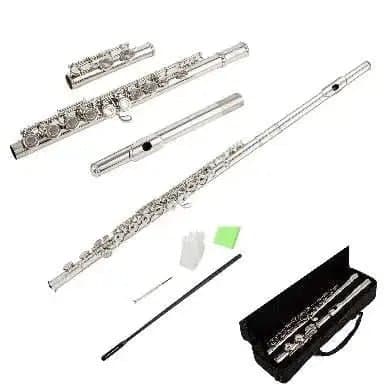 Student 17-Hole C Key Flute – Closed-Hole Beginner Flute Set with Case, Rod & Cleaning Kit