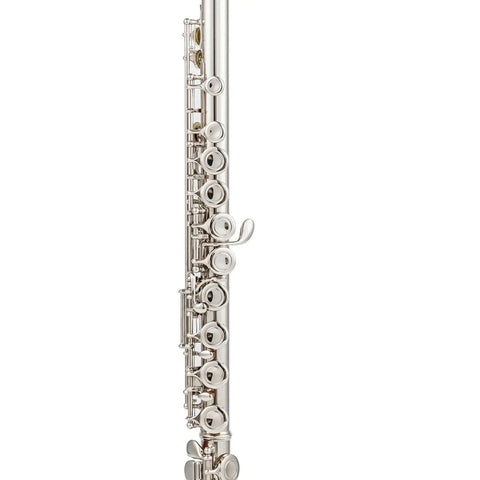 Student 17-Hole C Key Flute – Closed-Hole Beginner Flute Set with Case, Rod & Cleaning Kit 432