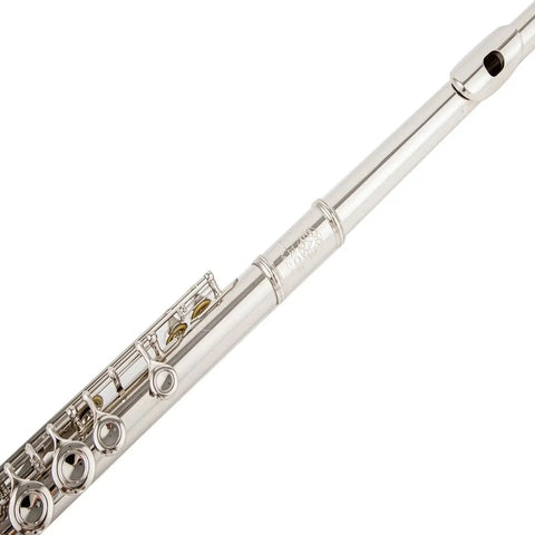 Student 17-Hole C Key Flute – Closed-Hole Beginner Flute Set with Case, Rod & Cleaning Kit 432