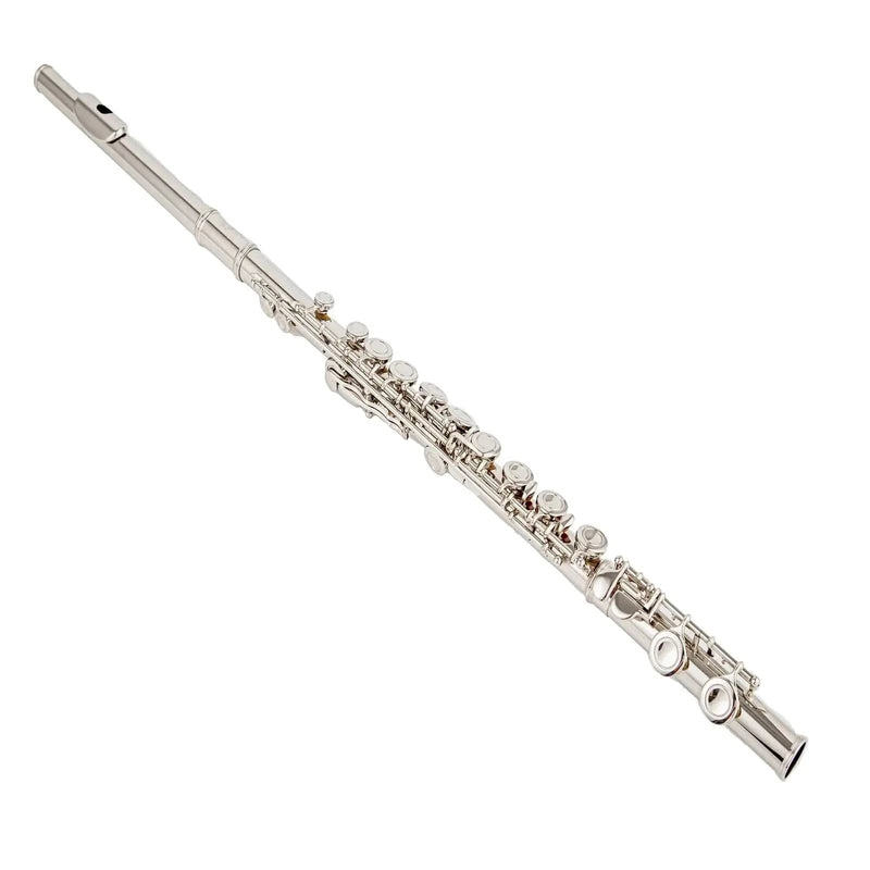 Student 17-Hole C Key Flute – Closed-Hole Beginner Flute Set with Case, Rod & Cleaning Kit 434