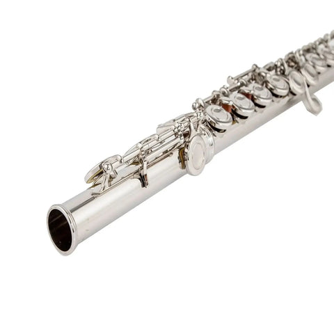 Student 17-Hole C Key Flute – Closed-Hole Beginner Flute Set with Case, Rod & Cleaning Kit 545