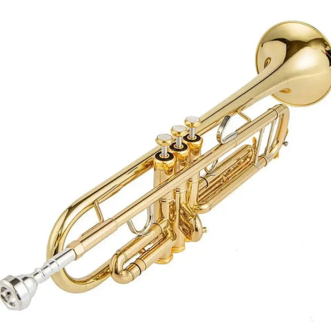 Student Bb Trumpet Yellow Brass with Accessories - AU - Aurosus InstrumentStudent Bb Trumpet Yellow Brass with Accessories - AU