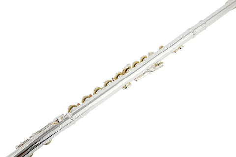 Student Silver - Plated Cupronickel Flute - 16 Closed Holes, Key of C - Aurosus InstrumentStudent Silver - Plated Cupronickel Flute - 16 Closed Holes, Key of C