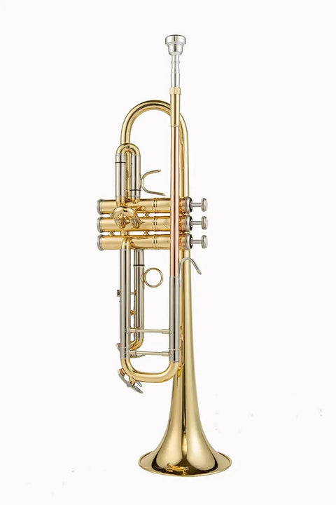 Bb Student Trumpet TR-8333 with Yellow Brass Bell - Beginner Friendly1