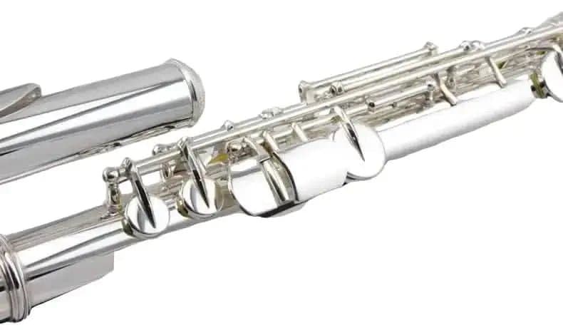Aurosus Student Flute accessories case kit