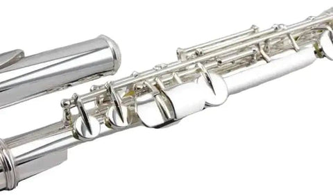 Aurosus Student Flute accessories case kit