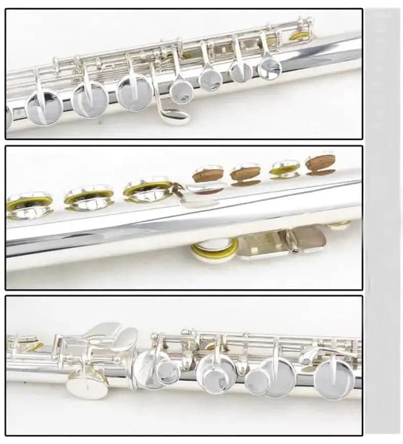 Aurosus Student Flute - Aurosus Instrument