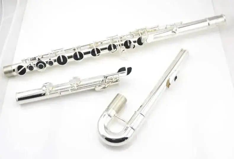 Aurosus Student Flute - Aurosus Instrument