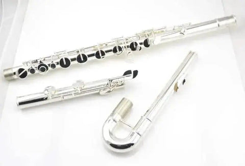 Aurosus Student Flute - Aurosus Instrument