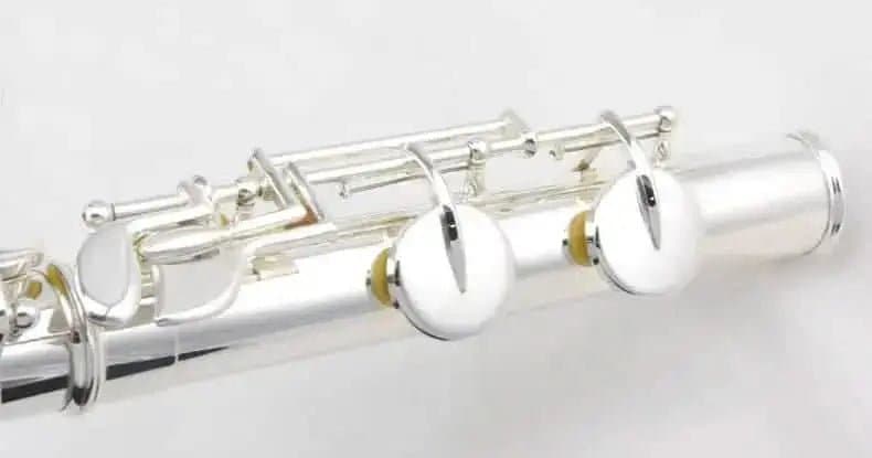 Aurosus Student Flute - Aurosus Instrument