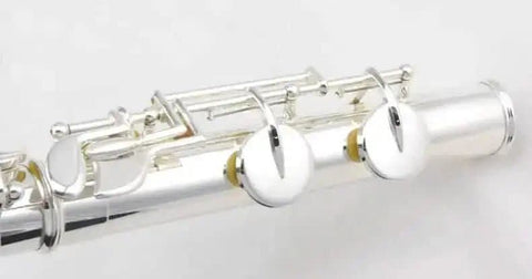 Aurosus Student Flute - Aurosus Instrument
