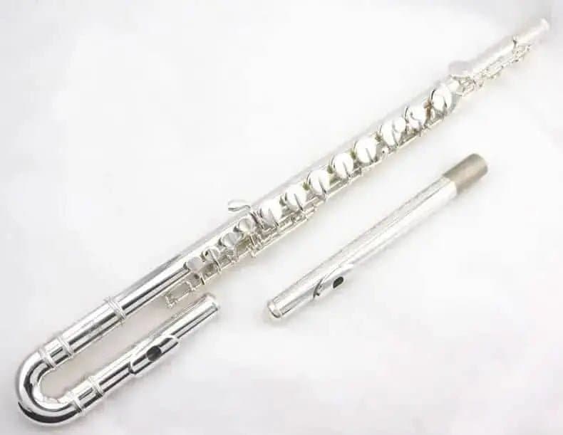 Aurosus Student Flute - Aurosus Instrument