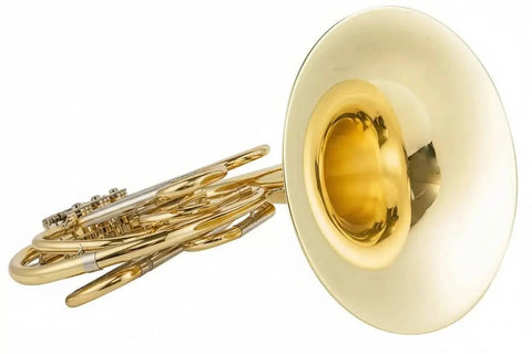 Yellow Brass AAHN-103 Student Single F French Horn - french horn for orchestra and student musicians
