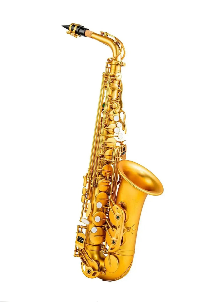 Yellow Brass Eb Alto Saxophone for Beginners Students - Aurosus InstrumentYellow Brass Eb Alto Saxophone for Beginners Students