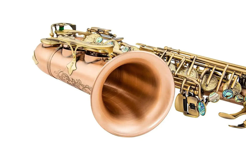 Yellow Brass Eb Alto Saxophone for Beginners Students - Aurosus InstrumentYellow Brass Eb Alto Saxophone for Beginners Students
