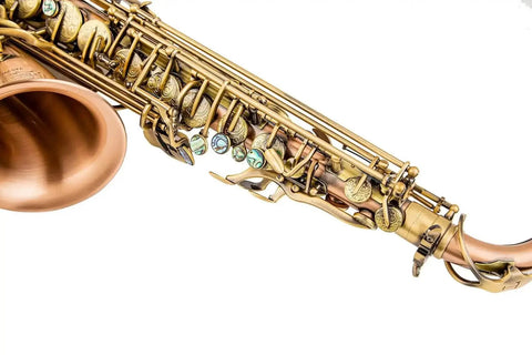 Yellow Brass Eb Alto Saxophone for Beginners Students - Aurosus InstrumentYellow Brass Eb Alto Saxophone for Beginners Students
