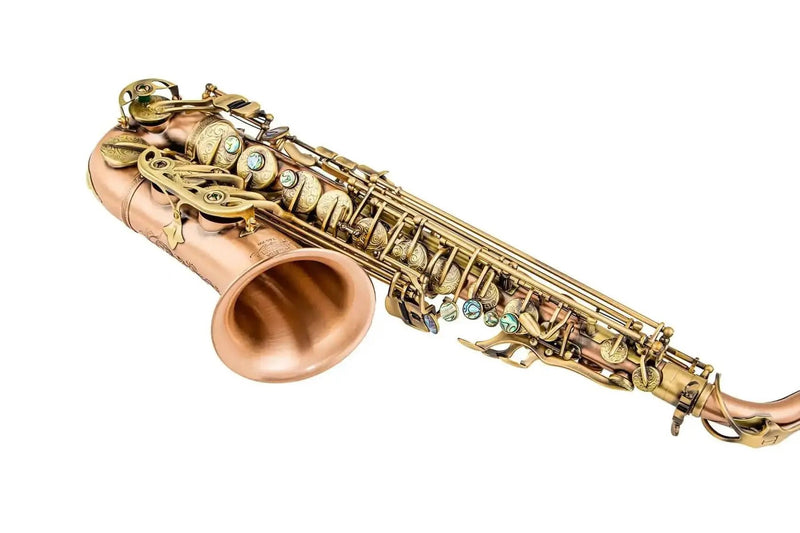Yellow Brass Eb Alto Saxophone for Beginners Students - Aurosus InstrumentYellow Brass Eb Alto Saxophone for Beginners Students