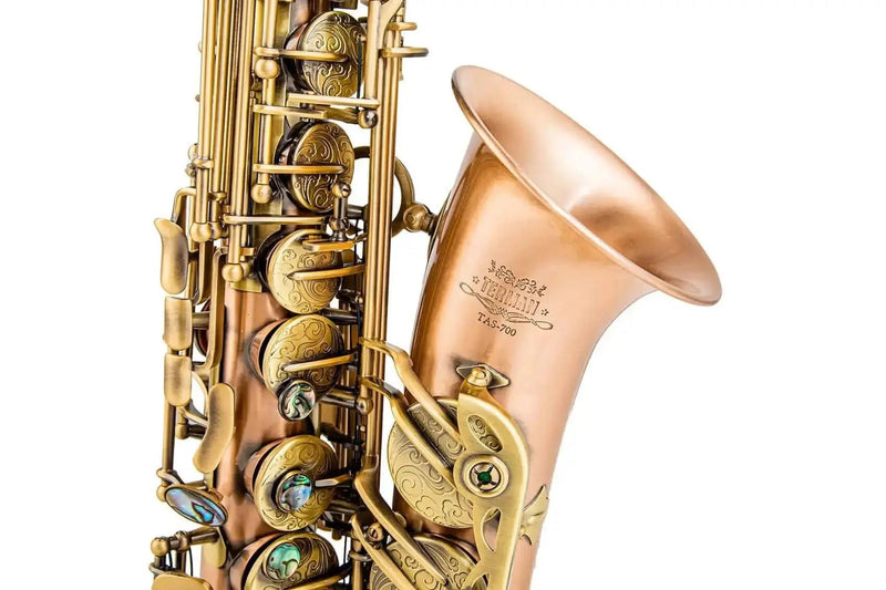 Yellow Brass Eb Alto Saxophone for Beginners Students - Aurosus InstrumentYellow Brass Eb Alto Saxophone for Beginners Students