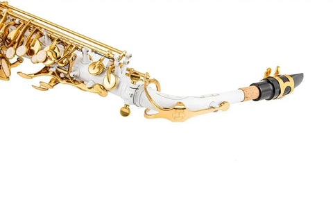Yellow Brass Eb Alto Saxophone for Beginners Students - Aurosus InstrumentYellow Brass Eb Alto Saxophone for Beginners Students
