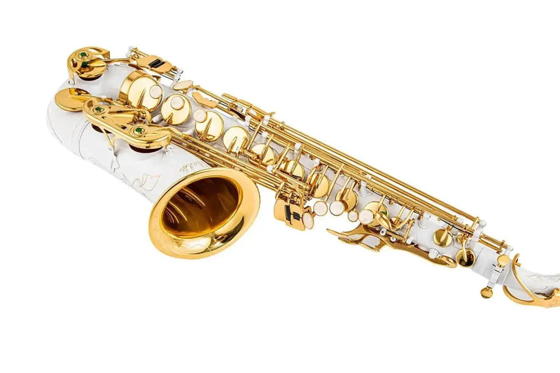 Yellow Brass Eb Alto Saxophone for Beginners Students - Aurosus InstrumentYellow Brass Eb Alto Saxophone for Beginners Students
