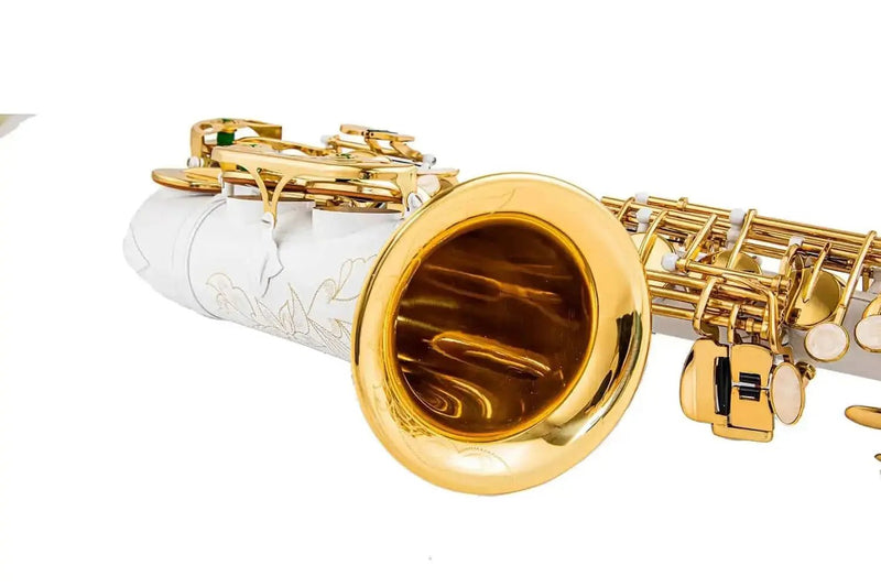 Yellow Brass Eb Alto Saxophone for Beginners Students - Aurosus InstrumentYellow Brass Eb Alto Saxophone for Beginners Students
